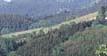 Oberharmersbach im Schwarzwald