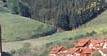 Oberharmersbach im Schwarzwald