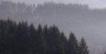 Der Brandenkopf �ber Oberharmersbach