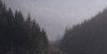 Der Brandenkopf �ber Oberharmersbach